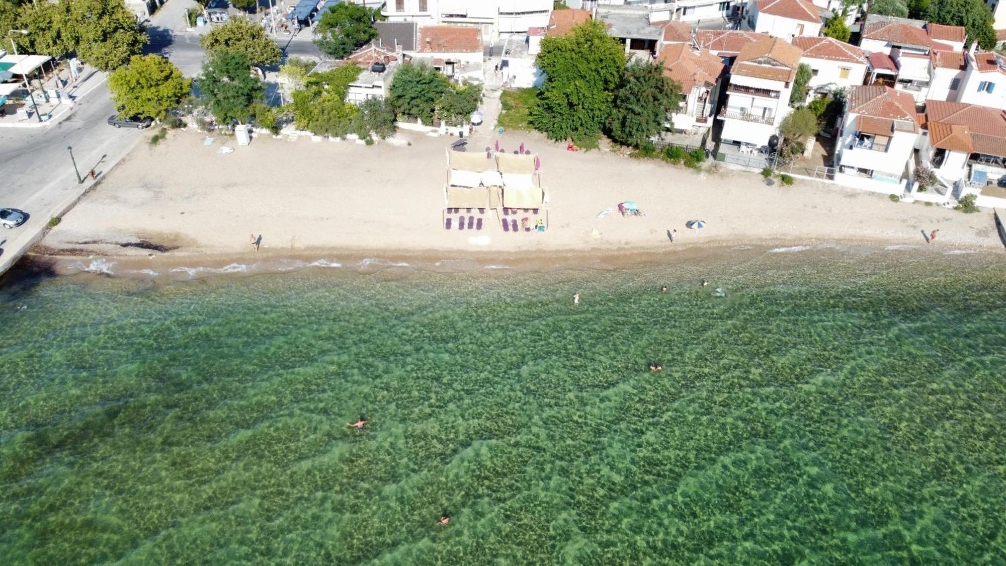 Beachfront Apartment Thassos Skála Kallirákhis Værelse billede